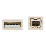 Tripp Lite, Safe-IT, USB-A to USB-B, USB 2.0, Male-to-Male Cable, PVC VW-1 Jacket, White, 10 Feet / 3.05 Meters, Limited Life Manufacturer's Warranty (U022AB-010-WH) USB-A to USB-B 10 Feet / 3.05 Meters