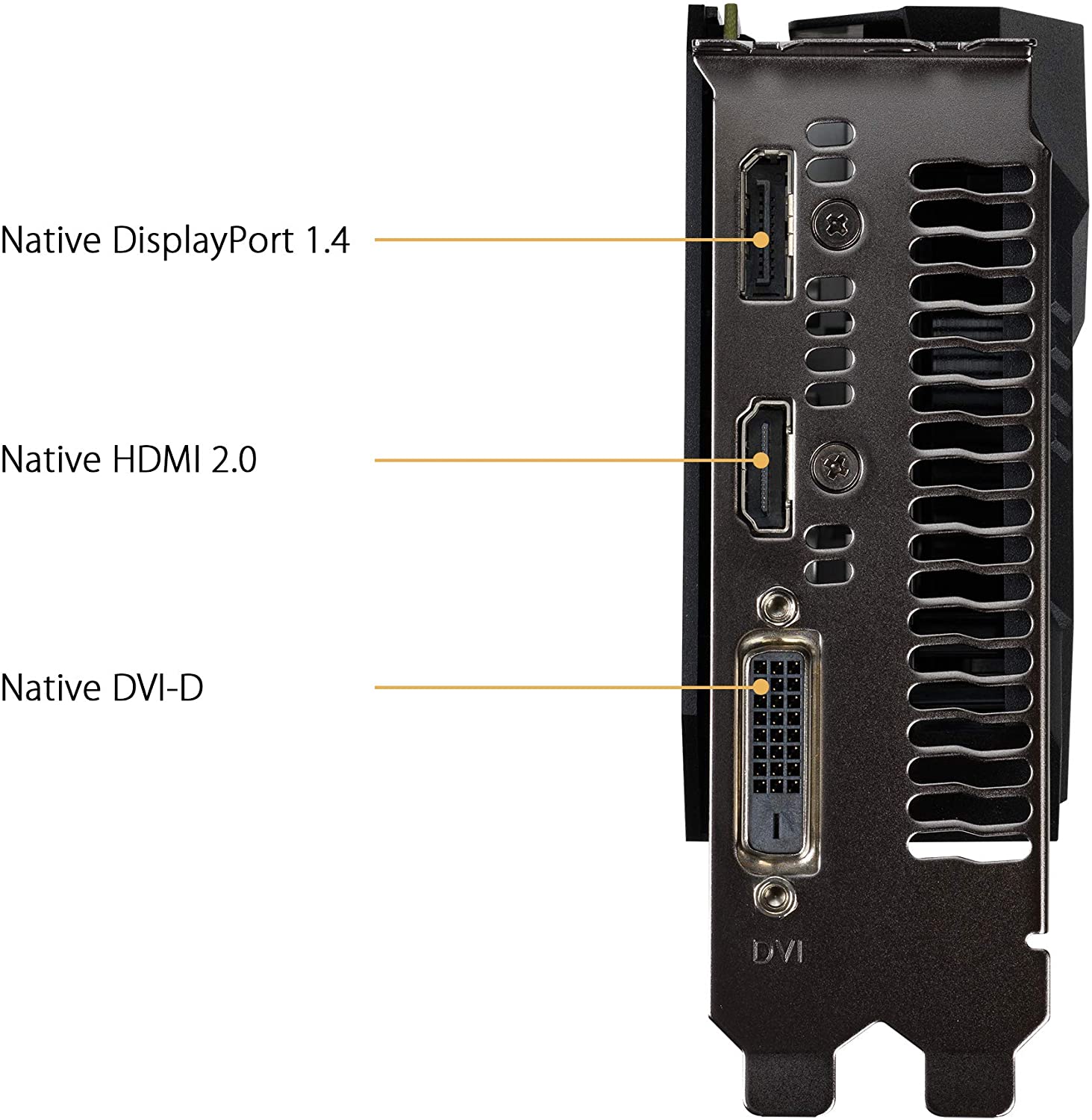 Gtx on sale 1650 displayport