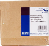 Epson Premium Glossy 24 Inch x 100 Feet Photo Paper (S041390)