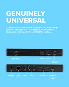 VisionTek VT4800 Thunderbolt 3 USB C Hybrid Docking Station with Power Delivery up to 60W, Laptop and Mac Compatible, 2 DisplayPort 1.4, 2 USB 3.1, 2 USB 3.0-901292