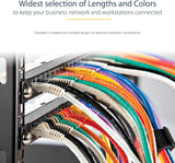 StarTech.com 100ft CAT6 Ethernet Cable - Black CAT 6 Gigabit Ethernet Wire -650MHz 100W PoE RJ45 UTP Category 6 Network/Patch Cord Snagless w/Strain Relief Fluke Tested UL/TIA Certified (N6PATCH100BK) Black 100 ft / 30 m 1 Pack